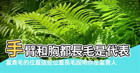 背後長毛|【背後長毛】揭秘背後長毛的奧秘：富貴還是厄運？ – 最新新聞